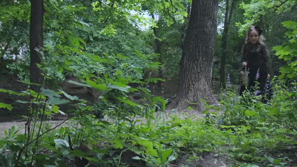 Mała czarownica spaceru w lesie - Materiał filmowy, wideo