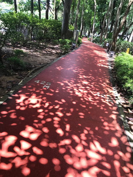 Ulkona, liikunta käynnissä ja lenkkeily punainen polku puistossa
 - Valokuva, kuva