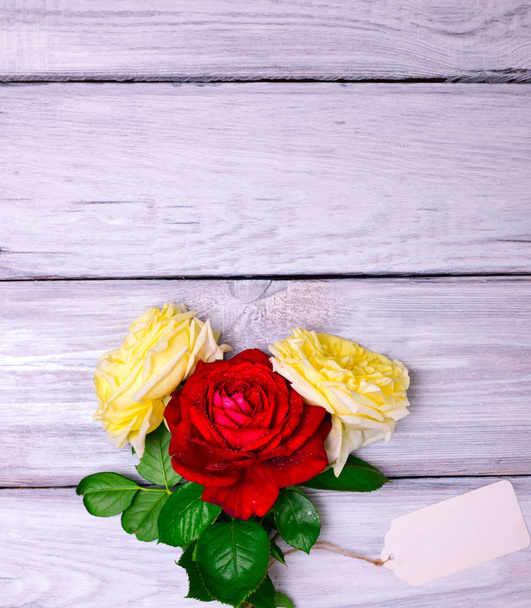 Trzy róże kwitnące i tag biały papier  - Zdjęcie, obraz