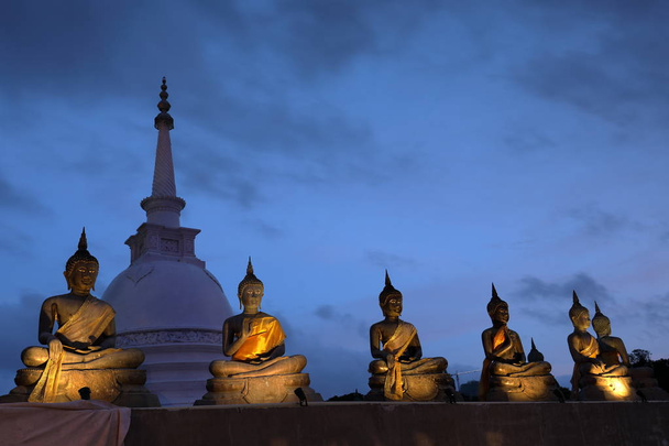 Buddha figures in the Seema Malaka temple of Colombo in Sri Lanka - Photo, Image