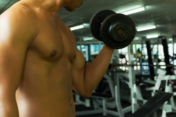 Fitness man in training showing exercises with dumbbells in gym, fitness concept, sport concept - Foto, Imagem