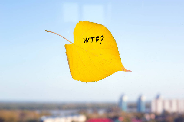 Herfstblad gele gevallen blad in het venster op de achtergrond van de stad - Foto, afbeelding