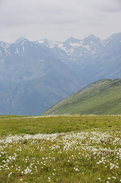 Πράσινο λιβάδι. Ορεινό τοπίο Αλτάι - Φωτογραφία, εικόνα