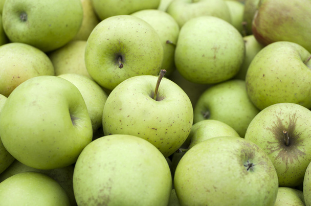 Zelená jablka - Fotografie, Obrázek