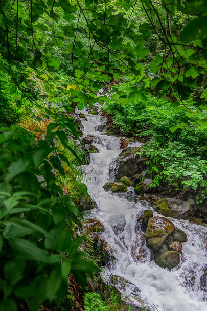 Rivière de montagne avec cascades. HDR
. - Photo, image