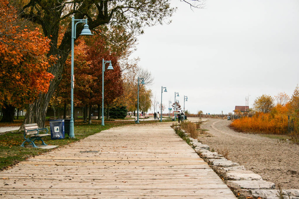 Wooden walking trail with street lamps and autumn trees - Photo, Image