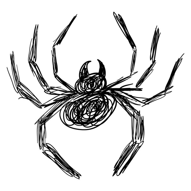 Black Hand getekend Spider Sketch - Doodle geïsoleerd - Foto, afbeelding