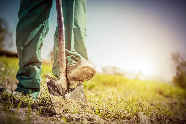 Gardener digging in a garden with a shovel. - Photo, Image