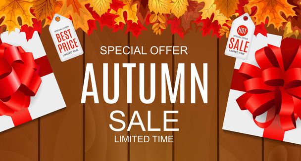 Abstract Vector Illustration Autumn Sale Background with Falling Autumn Leaves - Vector, afbeelding