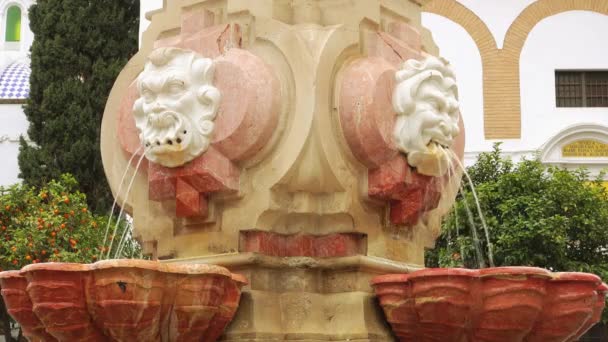 Brunnen auf dem Platz der heiligen Patronin der Könige (Plaza virgen de los reyes), auch Königsplatz genannt. Sevilla, Andalusien, Südspanien. - Filmmaterial, Video