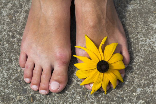 Κοντινό πλάνο του πόδια γυναίκας με λουλούδι μεταξύ των δακτύλων - Φωτογραφία, εικόνα