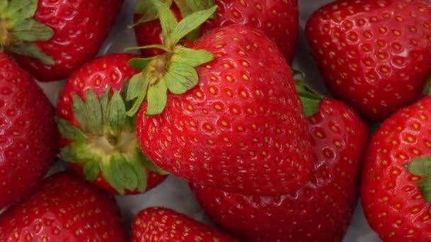 fresas frescas sobre el fondo blanco - Metraje, vídeo
