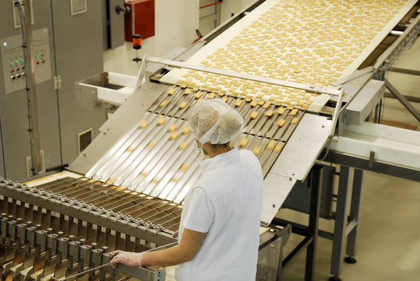 Linea di produzione di biscotti e waffle - Foto, immagini