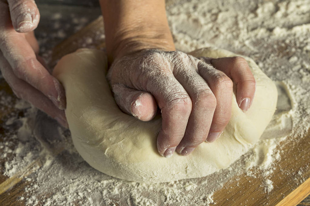 Handmade Organic Bread Dough in a Womans Hands - Foto, afbeelding