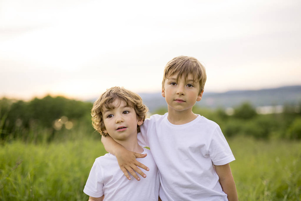 Brother play together in a green meadow - Foto, afbeelding