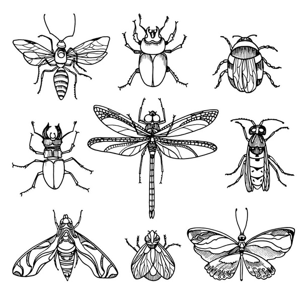 Set of insects on white background. Vector symbol - Vektör, Görsel