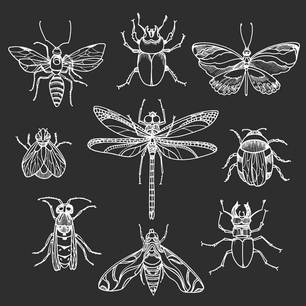Set of white insects on black background. Vector symbol - Vektör, Görsel