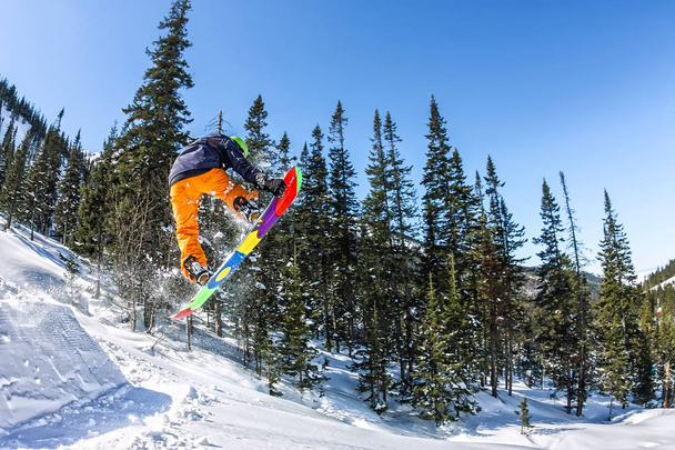Snowboarder freerider jumping from a snow ramp in the sun on a background of forest and mountains - Фото, зображення