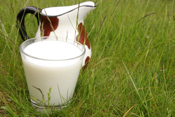 Wellness, land of milk - Photo, Image