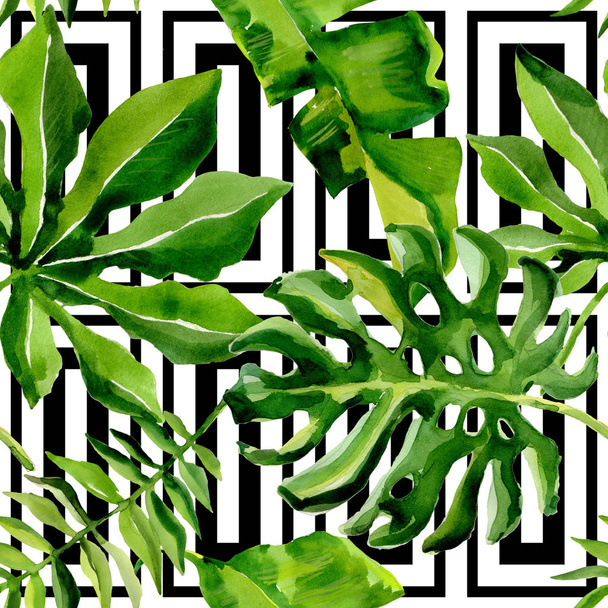 Τροπική Χαβάη παλάμη δέντρο μοτίβο φύλλα σε στυλ υδροχρώματος. - Φωτογραφία, εικόνα