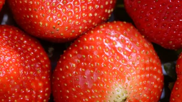 Berry κήπο φράουλας - Πλάνα, βίντεο