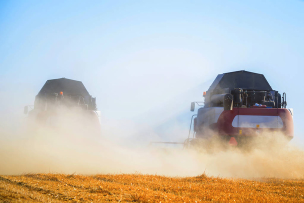 Sklizeň obilí kombinuje práci v pšeničné pole - Fotografie, Obrázek