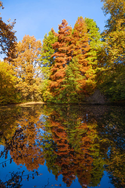 Autumn colors on the lake. Autumnal Park. Autumn Trees - Valokuva, kuva