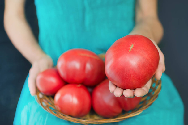 Mulher segurando um tomate muito grande, de joelhos uma cesta com tomates. Conceito de colheita
 - Foto, Imagem