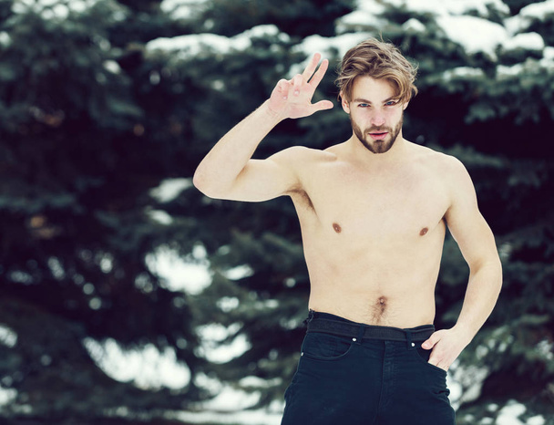 handsome muscular man in winter outdoor - 写真・画像
