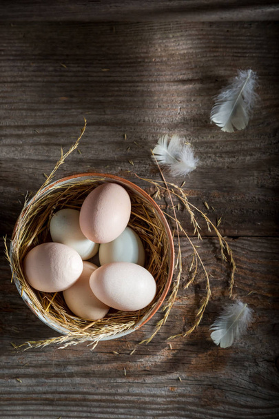 Healthy free range eggs with hen feathers - Φωτογραφία, εικόνα
