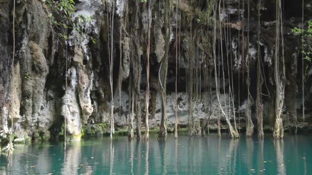 A cenote Mexikóban - Felvétel, videó