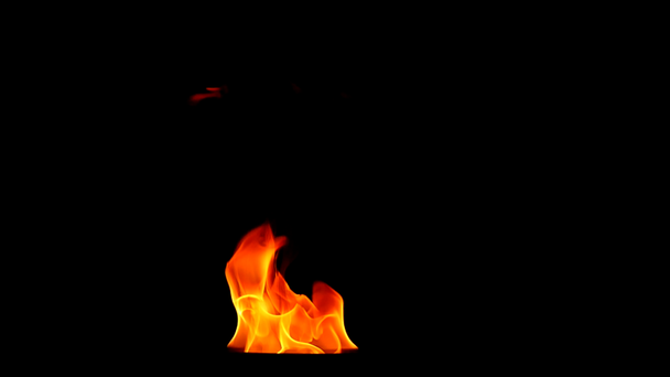 tongues flame on a black background, slow motion - Footage, Video