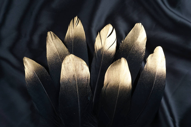 oro dorado de lujo pluma de cisne negro dorado sobre fondo de tela de seda
 - Foto, Imagen
