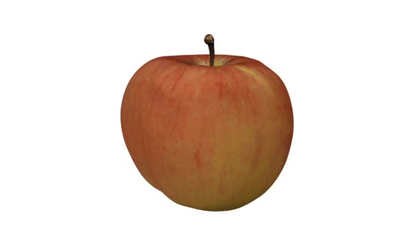 Beyaz arka plan üzerinde dönen bir Fuji elma 3D render. Video sorunsuz döngü. - Video, Çekim