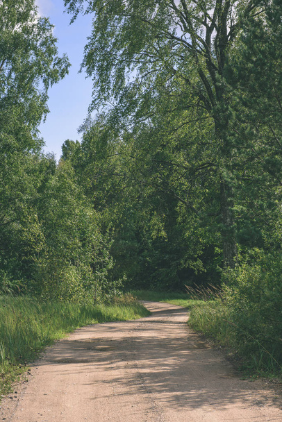 venkovské silnici v lese - vintage efekt - Fotografie, Obrázek