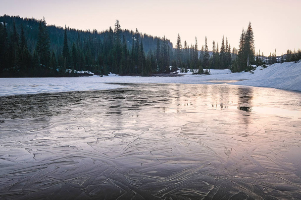 Lumen peittämä heijastusjärvi Rainier kansallispuistossa kesäkuun aikana
 - Valokuva, kuva