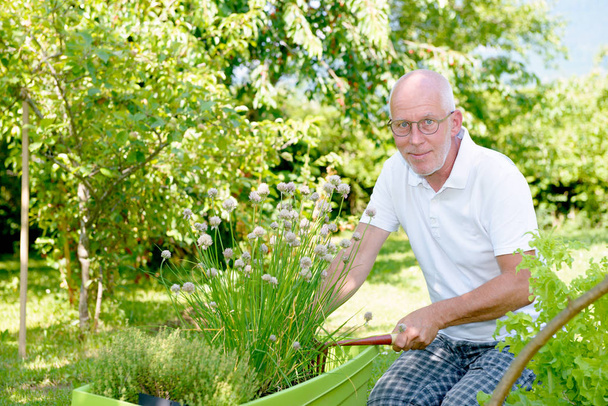 homem sênior bonito em seu jardim
 - Foto, Imagem