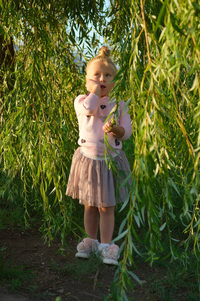 Little girl under willow tree - 写真・画像