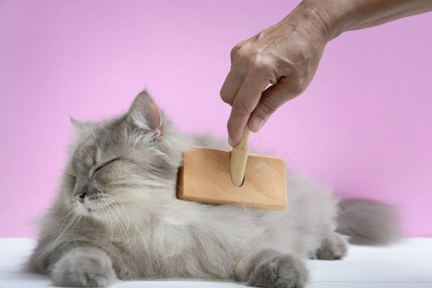 Кисть расческу кошачий мех на деревянный стол
 - Фото, изображение