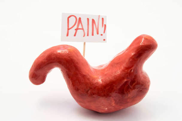 Ilustracja koncepcja objawów bólu lub zespół w patologii i chorób żołądka, owrzodzenia, zapalenie błony śluzowej żołądka, zgaga. Anatomiczny model żołądka jest obok plakat na którym napisał w red wyraz bólu - Zdjęcie, obraz