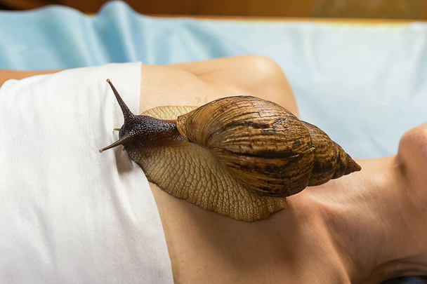 Young woman undergoing treatment with giant Achatina snails in beauty salon, closeup.Cosmetological procedure.A woman with a snail,Cleaning procedure in spa salon - Photo, Image