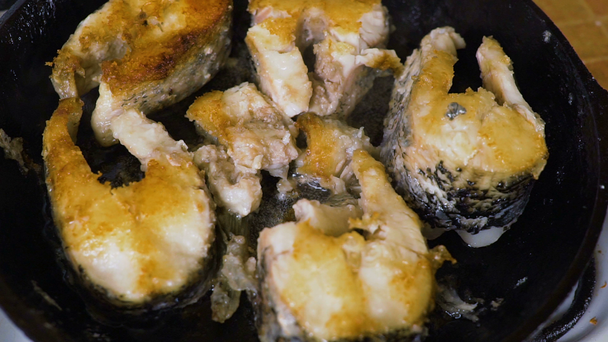 Filetes de pescado frito en sartén. Freír pescado de lucio grande en una sartén
. - Imágenes, Vídeo