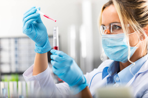 Young attractive female scientist researching in the laboratory - Foto, Bild