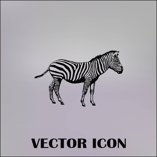 icono web vector cebra
 - Vector, Imagen