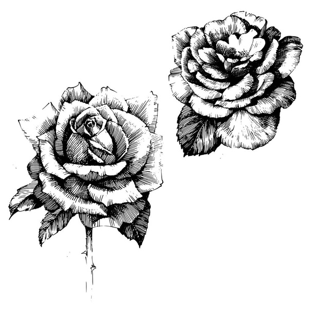 rosa Tusche zeichnen Blumen - Vektor, Bild