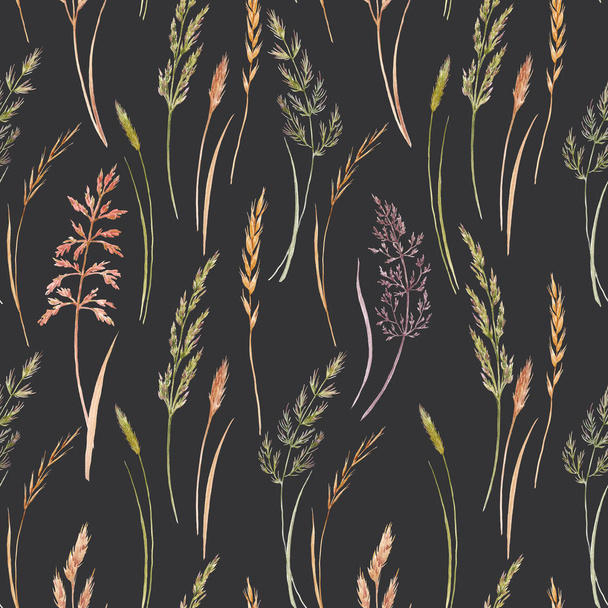 Wild field grass pattern - Foto, Bild