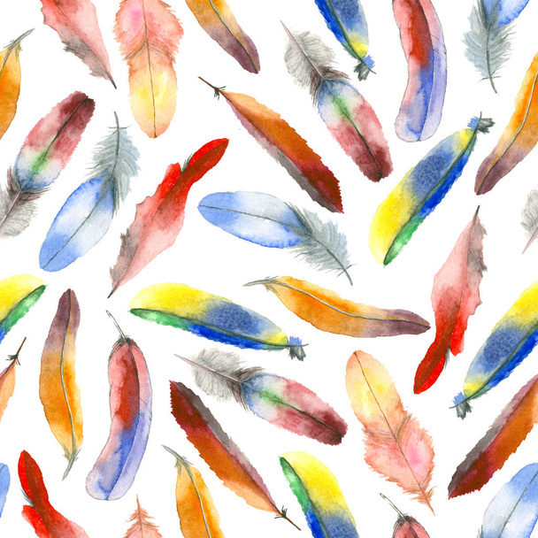 Watercolor feather pattern - Zdjęcie, obraz