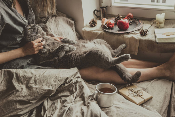 Cozy home. Woman with cute cat sitting in bed by the window - Foto, Imagem