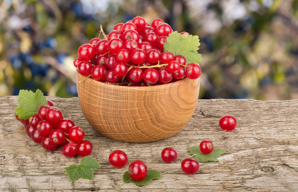 Ягоди червоної смородини в дерев'яній мисці на дерев'яному столі з розмитим садовим тлом
 - Фото, зображення