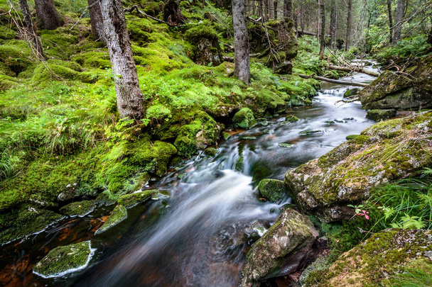 Water flow in a stream, long exposure - Photo, Image
